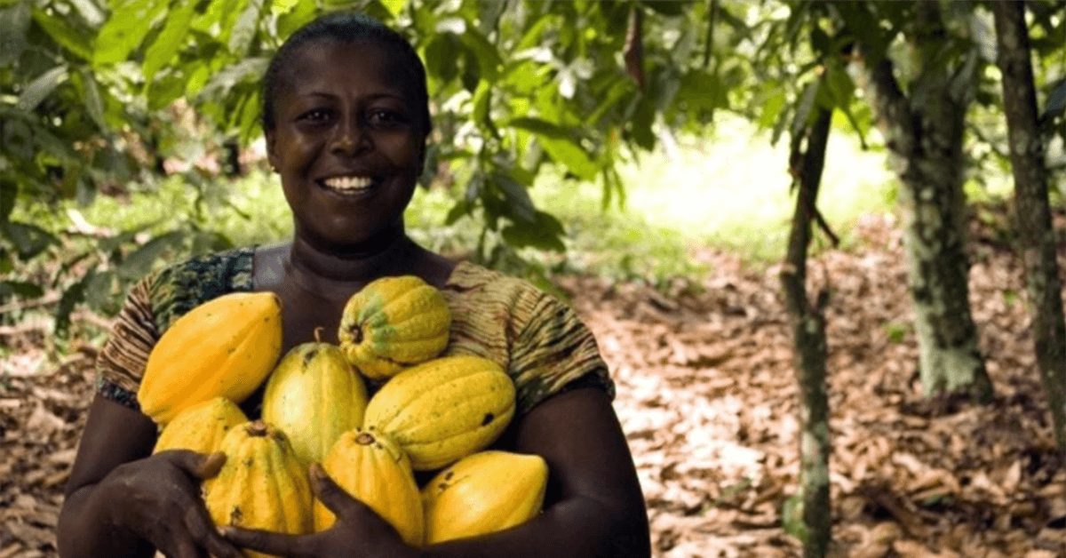 Secteur Agricole en Côte d’Ivoire