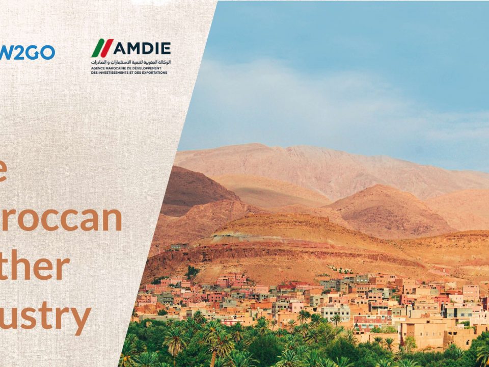 The Moroccan leather industry - AMDIE