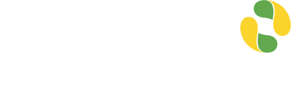 apex brasil